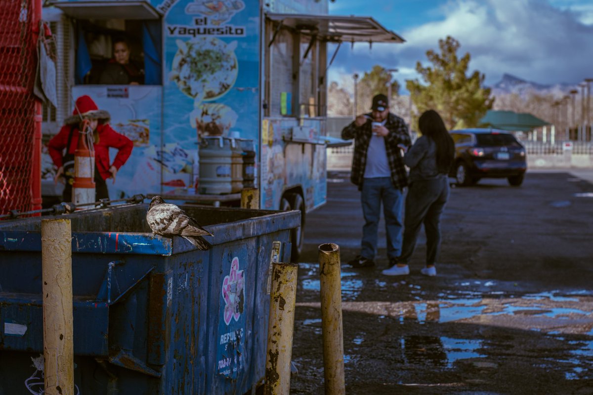 BlkShaggy's tweet photo. Gems on rancho. #photography #nightphotography #streetphotography #vegasphotographer #sincityphotographer #nikonphotography #streetphotograper #nikond5600 #photographer #vegas #vegasnights #vegasnightlife #dtlv #lightroom #lightroomedits #supportphotographers #supportanartist https://t.co/LfoRk1PYuV