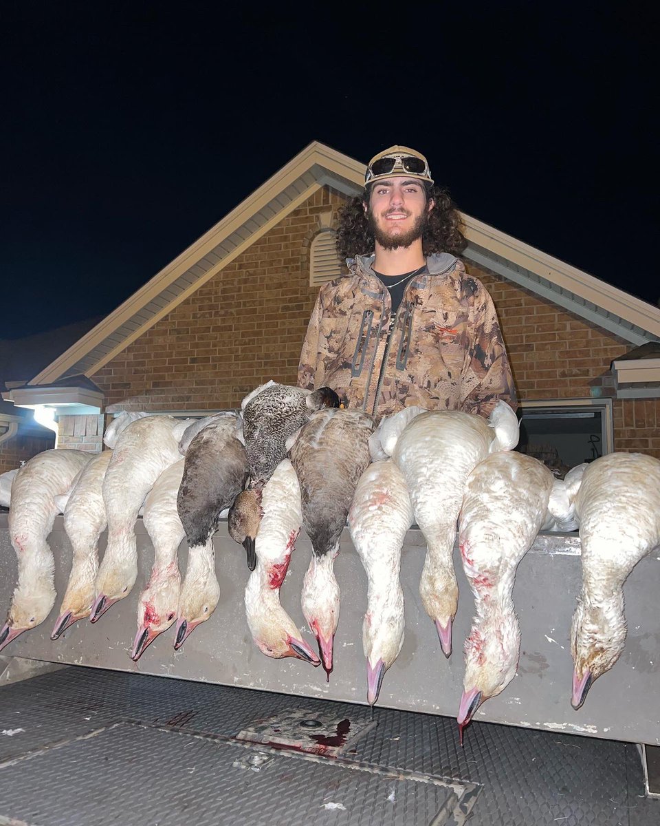 GavinGarrett15's tweet image. Big boys fall hard.