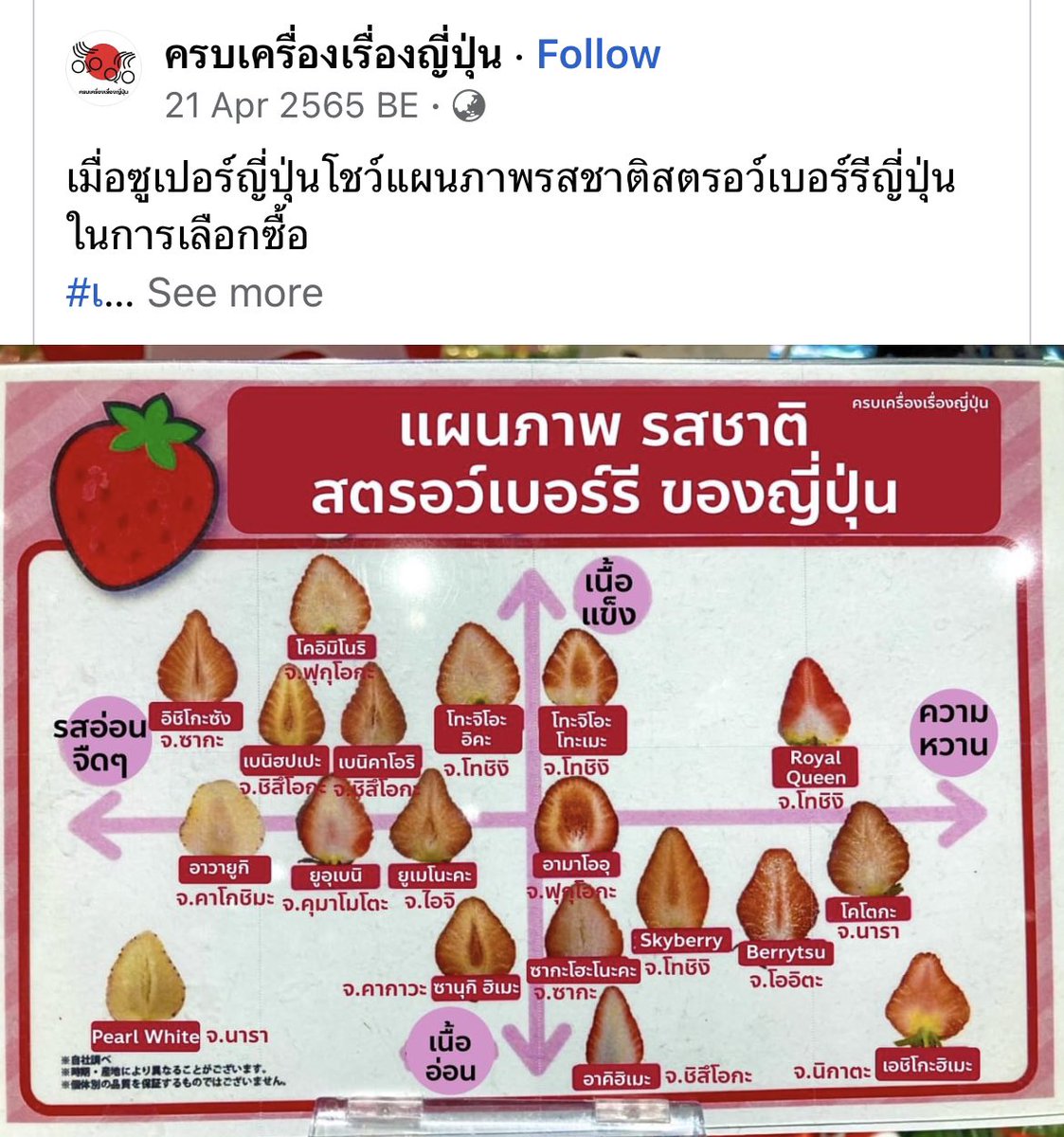 สะพายกล้องท่องโลก 📸 tweet media