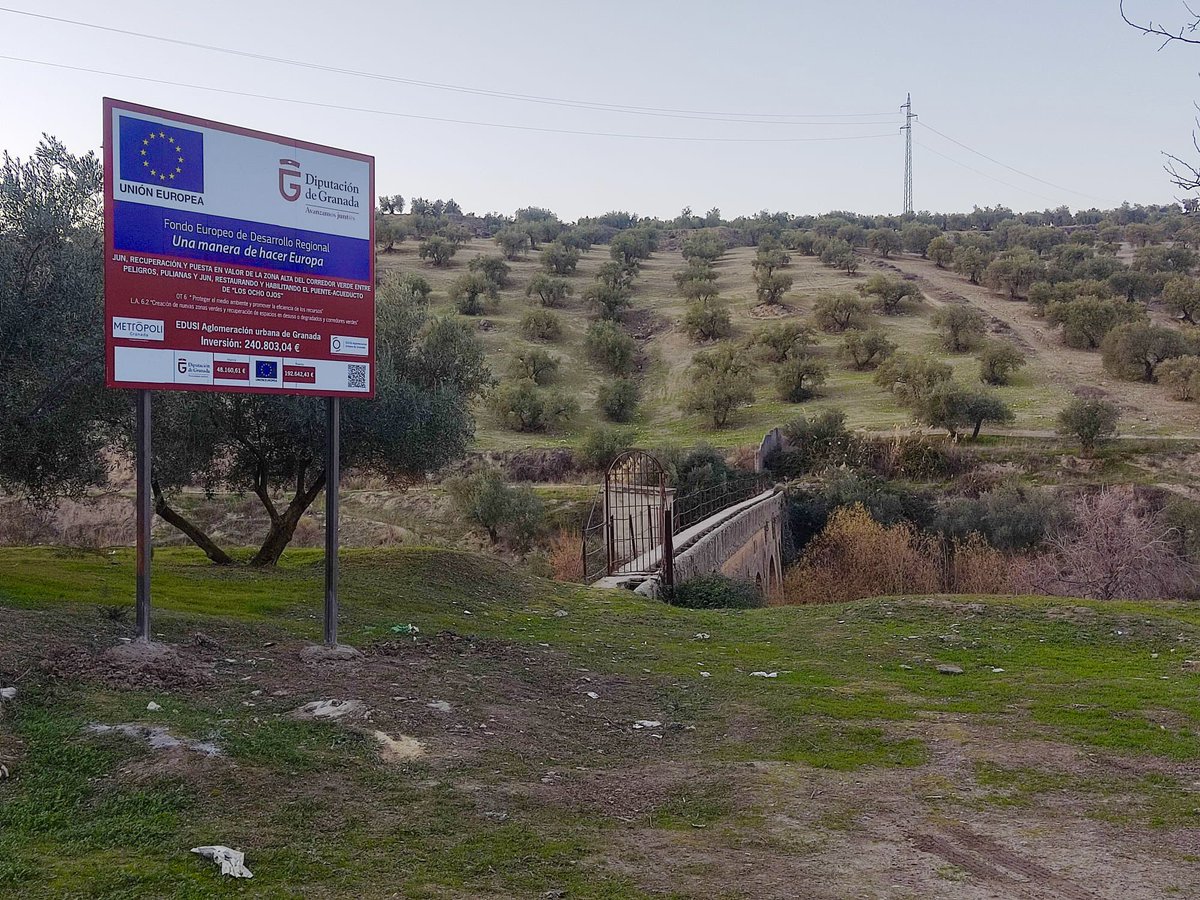 Aurora Suárez tweet media