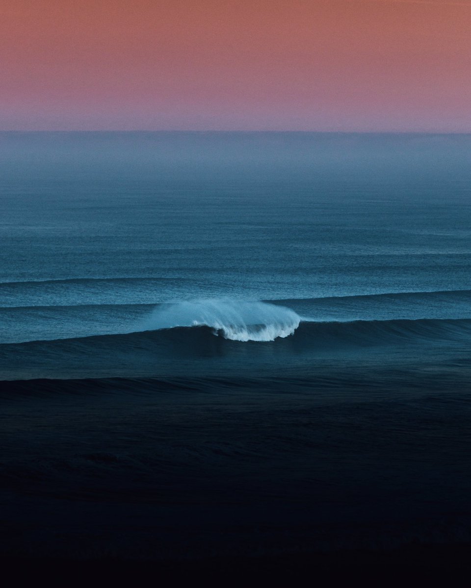 GM photographers, artists and collectors 🌊