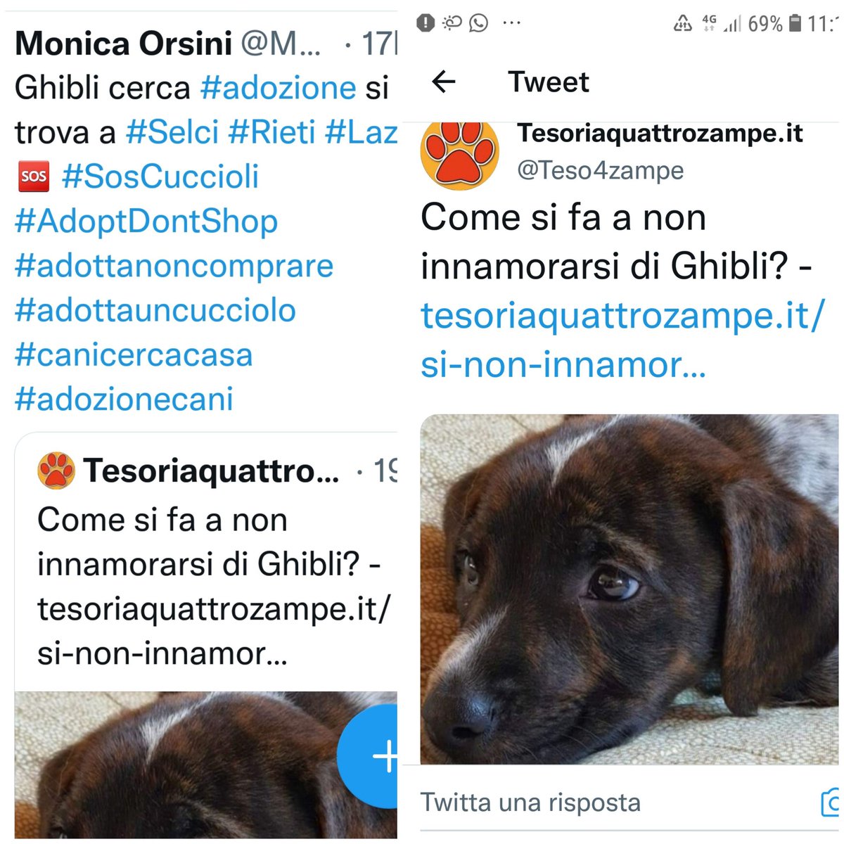 UNA FAMIGLIA PER GHIBLI, UN BELLISSIMO TESORO.👏👏❤❤❤❤RT RT RT RT RT