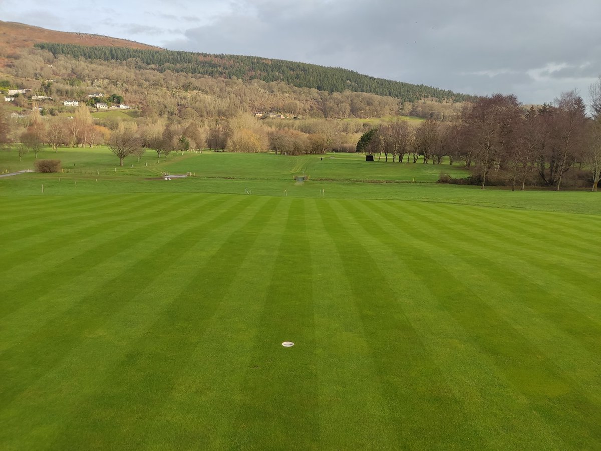 VLGC Greens tweet media