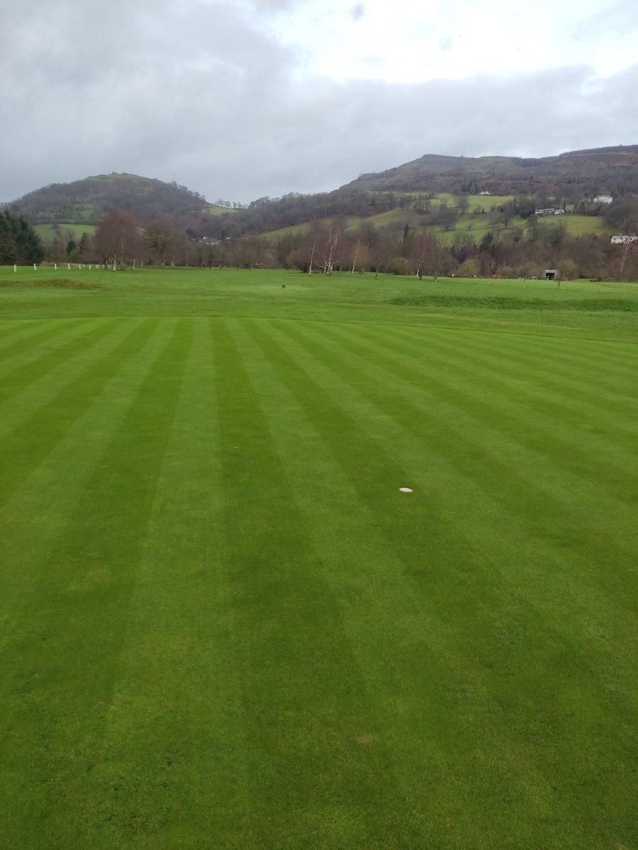 VLGC Greens tweet media