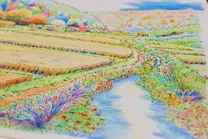 YayoiColorful's tweet photo. #大人の塗り絵 #日本の田園風景編 #staedtler #staedtler24color 

お正月休みに塗りました。 https://t.co/pdulct9GXI