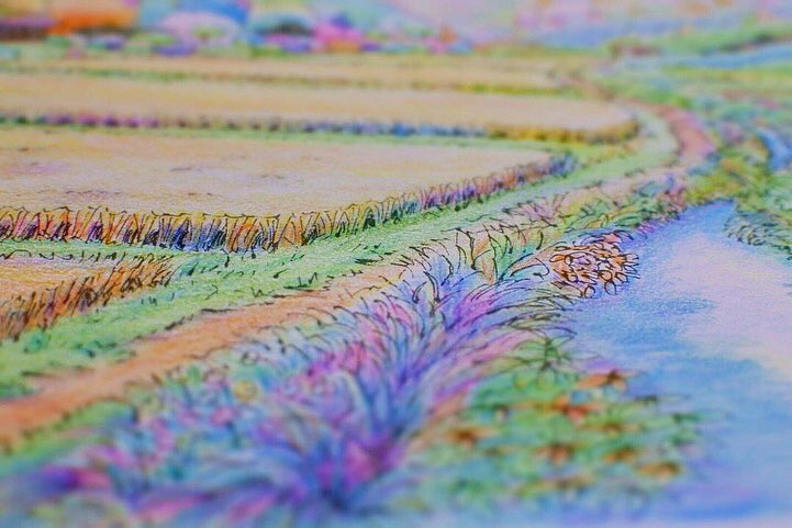 YayoiColorful's tweet photo. #大人の塗り絵 #日本の田園風景編 #staedtler #staedtler24color 

お正月休みに塗りました。 https://t.co/pdulct9GXI