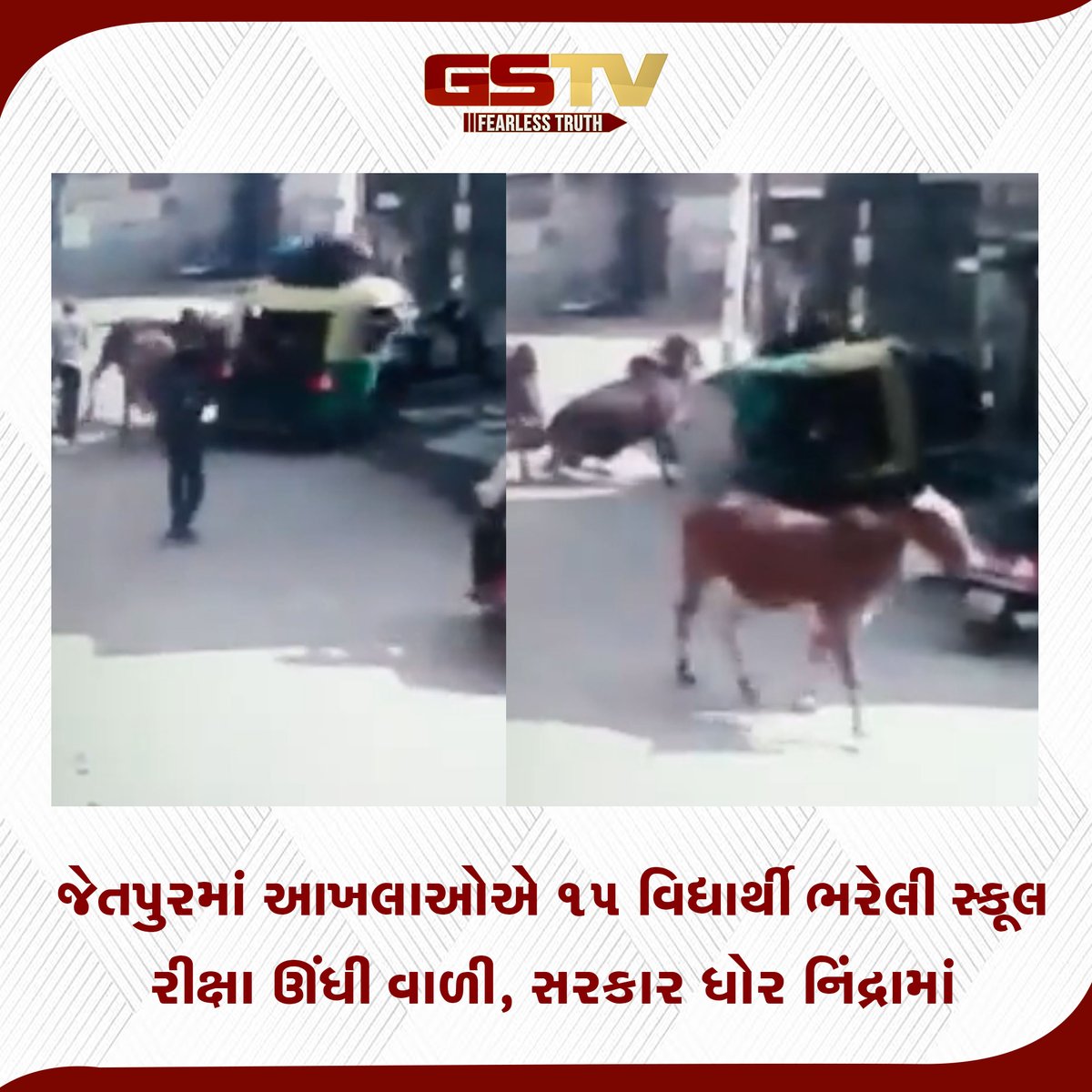 GSTV_NEWS's tweet photo. જેતપુરમાં આખલાઓએ 15 વિદ્યાર્થી ભરેલી સ્કૂલ રીક્ષા ઊંધી વાળી, સરકાર ધોર નિંદ્રામાં
#jetpur #aakhla #school #auto #schoolauto https://t.co/9xhUjstXwN