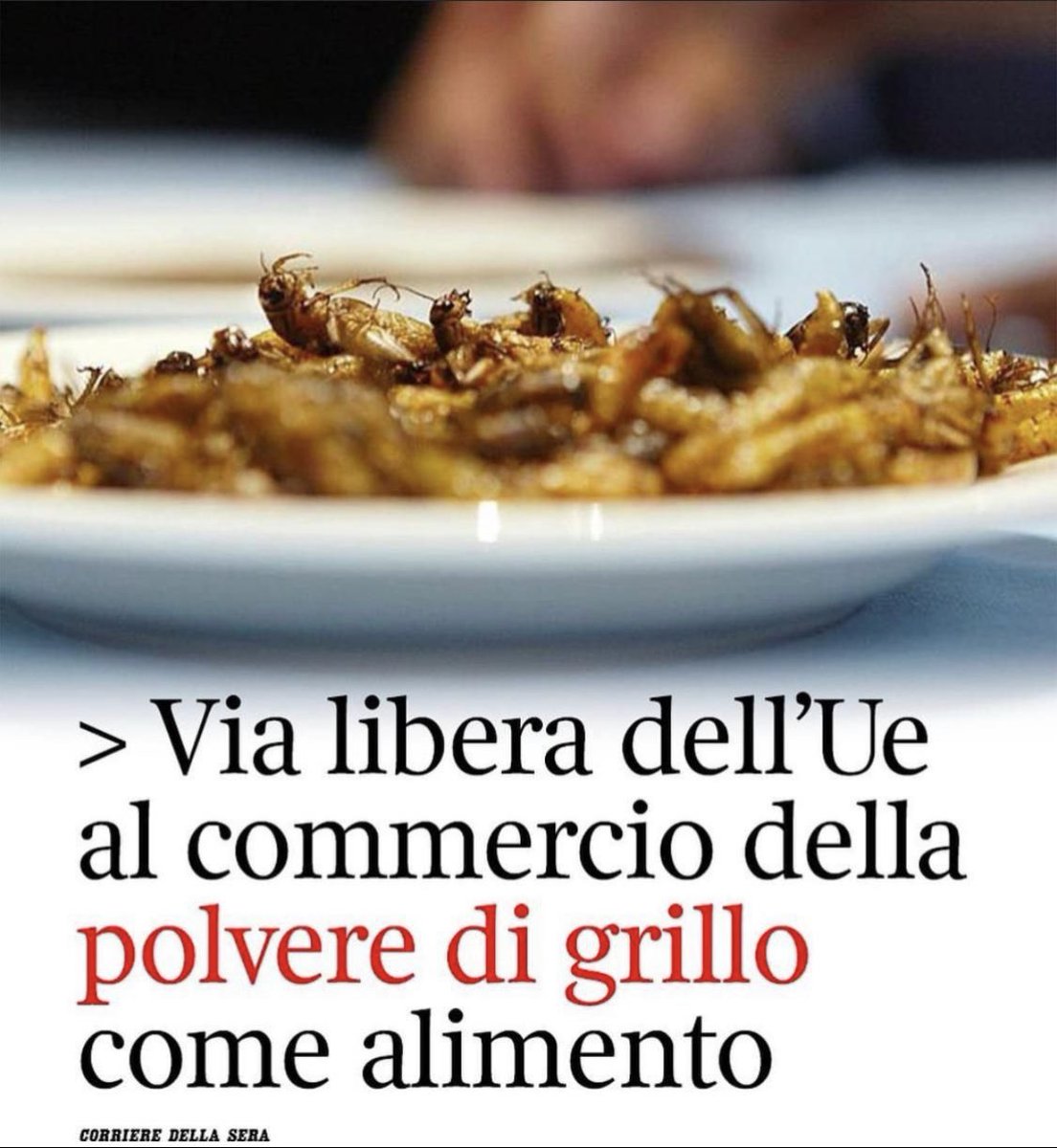 ChrisRicchiuti's tweet photo. Invitante, davvero. 😳
Ringrazio di vivere nel Paese che vanta a pieno titolo la cucina più buona del mondo ❤️🇮🇹
#polveredigrillo #grilli https://t.co/vCEKVfLZLS