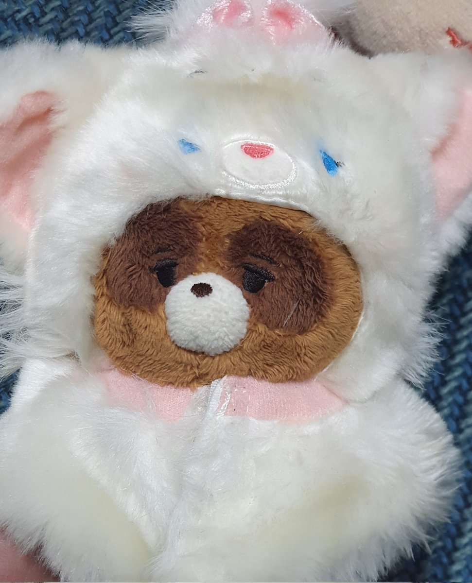 Namoogil's tweet photo. 디즈니 인형옷 망또 겨울버전 마리 운포 3.0 판매해요 이제 단종 돼서 구매 못함 https://t.co/CKzmUz6LUX