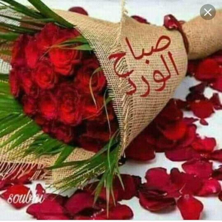 HZerrigou's tweet photo. @Lilou_Sardini01 https://t.co/LxQDp9f8Eb