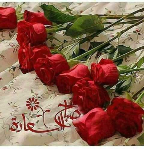 HZerrigou's tweet photo. @Nahed4l https://t.co/ioyfkl7qe4