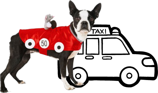 PetsPedia_'s tweet photo. If you need #pet transportation services, Pet-Spedia can help with safe and comfortable travel for your pet in a stress-free environment.

Reach out to us for an inquiry. https://t.co/6HzEmrmJlj #PetRelocation #PetTransportService #PetSpedia #LocalPetTaxi #PetTransportation https://t.co/GTZWufKqON