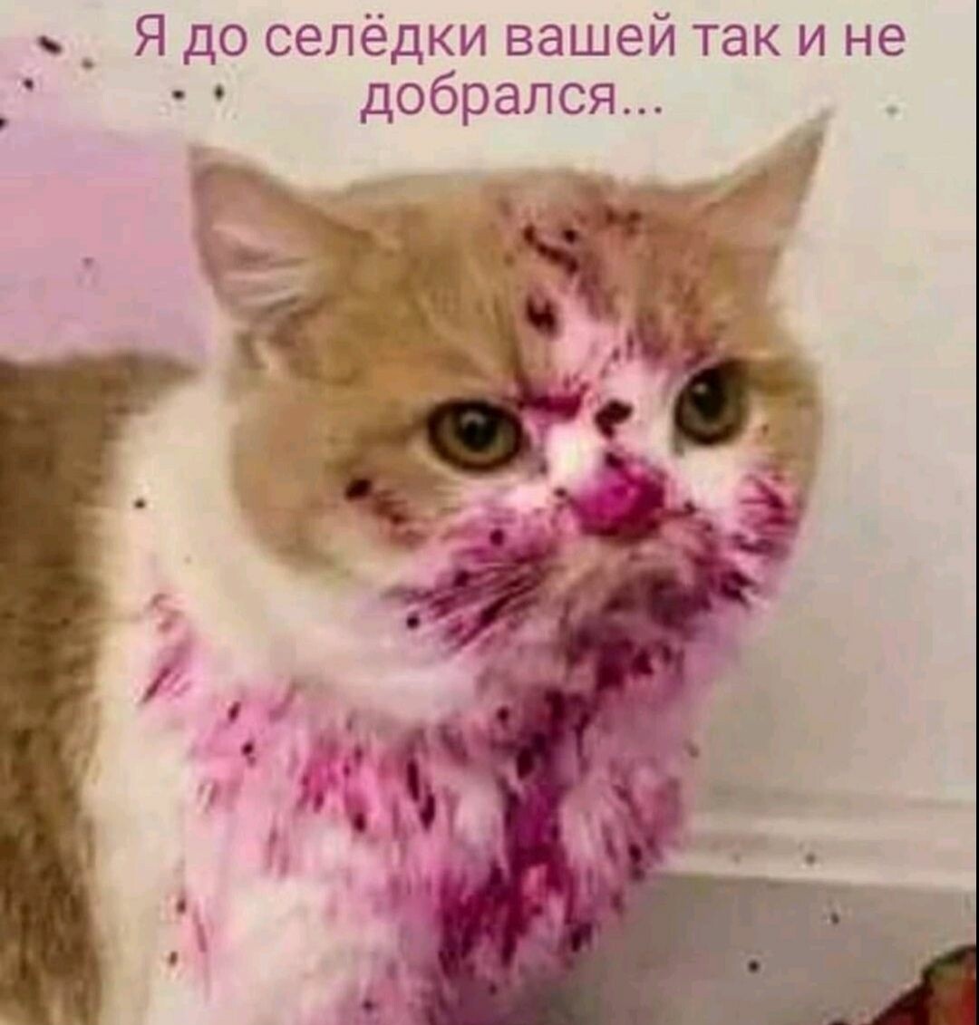 Olga🧸 tweet media