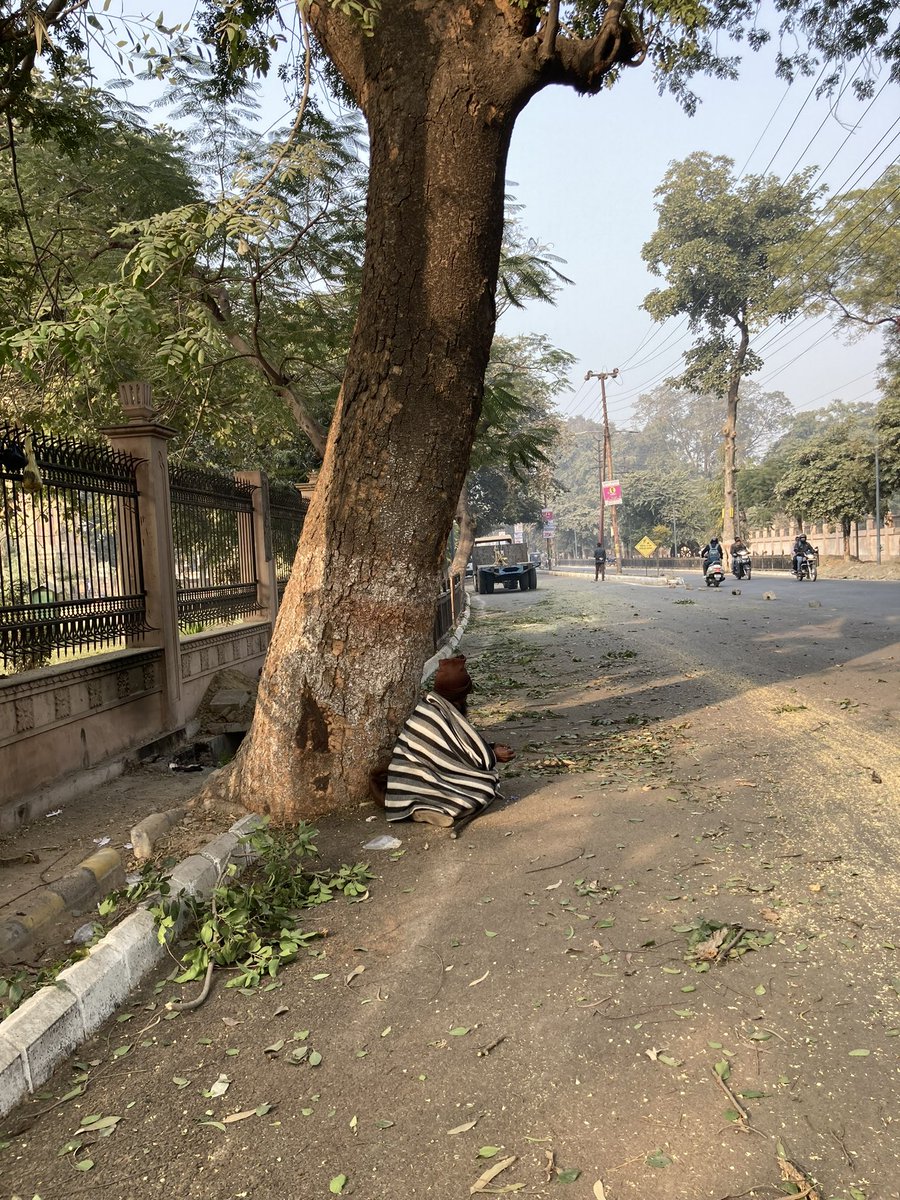 Taru_Sarvesh's tweet photo. Pls let all the inhabitants of the city survive including its trees
@Dm_Aligarh @AligarhMunicip1 @AMUJournal @thealigsportal @AMUAlumniworld @PrannavAggarwa1 @TOIIndiaNews @AmarUjalaNews @VikasSwaroop2 @dklavaniaTOI @TheQuint @hafizgandhi
#ThisIsNotSmartness
#life #damage
#tree https://t.co/yqGrg6fl9Q