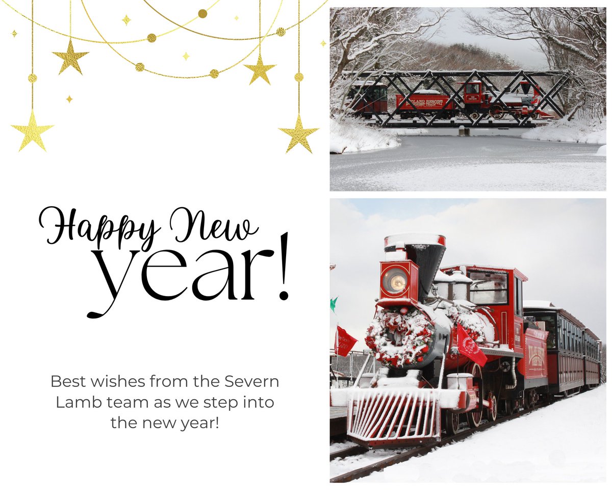 Happy New Year from Severn Lamb! Thank you for your support. 

We can't wait to see what 2023 has in store and are committed to delivering top-quality transport solutions. 

Cheers to a fantastic year! 

#SevernLamb #LeisureTransportation #NewYear