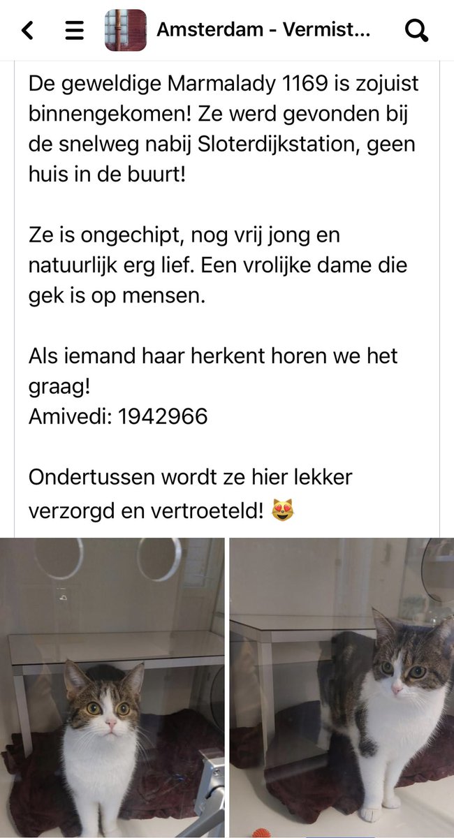 Dierenambulance Amsterdam (@dierenamsterdam) on Twitter photo 