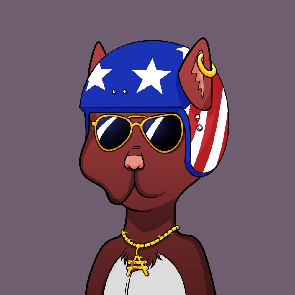 Cuquihernandez (@cuquihernandezx) on Twitter photo Ser holder de <a href="/adapunksdev/">ADAPunks | Developers of lovelacemarketplace.dev</a> te permite granar premios como este pedazo de <a href="/BossCatRC/">Boss Cat Rocket Club</a> . Gracias a la comunidad y a <a href="/Jav7a/">J 👁</a> por estos sorteos.
jpg.store/es/collection/… Ser holder de <a href="/adapunksdev/">ADAPunks | Developers of lovelacemarketplace.dev</a> te permite granar premios como este pedazo de <a href="/BossCatRC/">Boss Cat Rocket Club</a> . Gracias a la comunidad y a <a href="/Jav7a/">J 👁</a> por estos sorteos.
jpg.store/es/collection/…