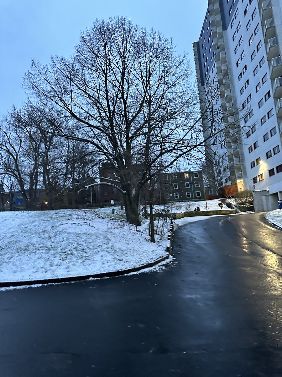 stan_abhi's tweet photo. Halifax finally realizing it’s part of Canada too!🇨🇦❄️ https://t.co/pVhR977nSn