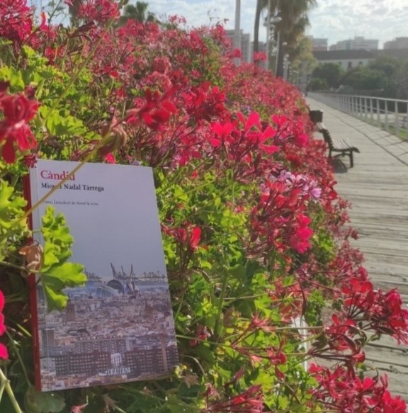 Càndid y Plácido conversan en La Muralla d Valencia, no la q se derribó en 1865, sino en el Chino entre Benimaclet y el Semáforo d Europa.
Reflexiones sobre nuestra ciudad y el equipo q de ella tomó su nombre.
<a href="/DiaCandid/">CandidCadaDia</a> y VCF, la historia interminable.
✍️
mestallidos.com/?p=563