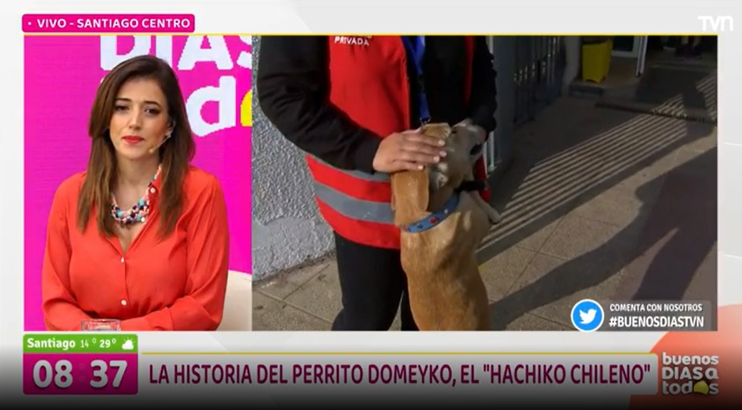 BuenosDiasTVN's tweet photo. 🐶Este es nuestro "Hachiko chileno" Domeyko: su dueño falleció en CESFAM y se quedó para siempre ahí

▶ Comenta con #BuenosDíasTVN 

📡 Sigue la señal en vivo https://t.co/TI6UczNAqs https://t.co/oppXh51k2d