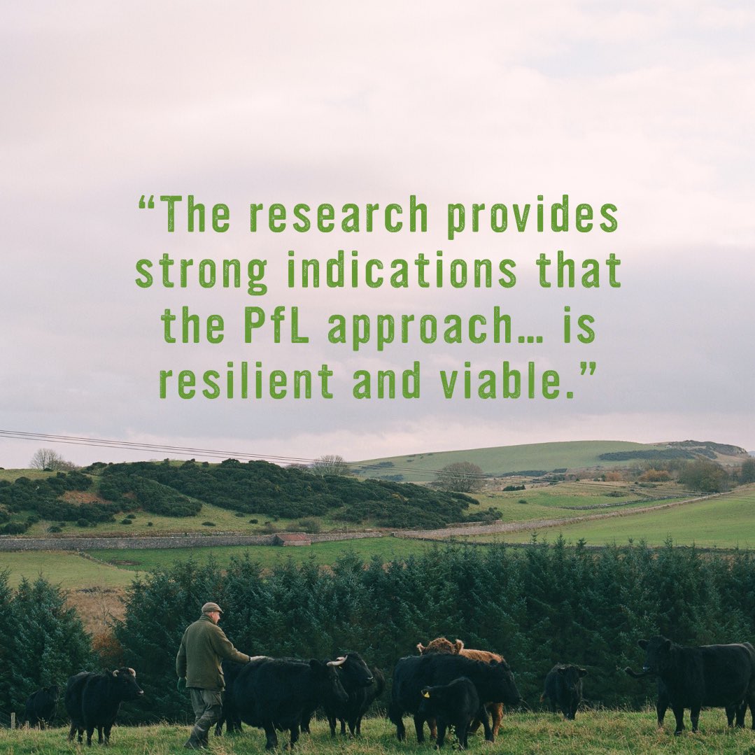 Pasture For Life tweet media