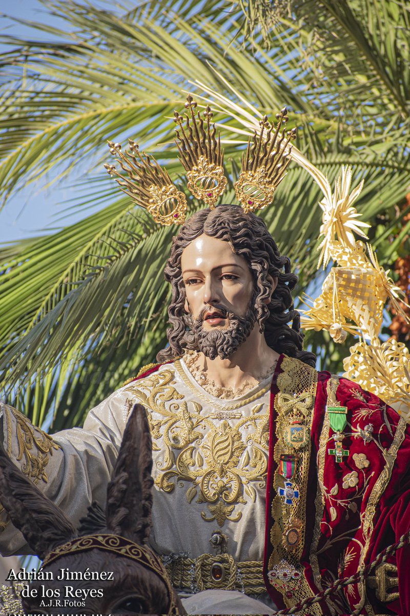 AJRFotos1's tweet photo. Magna Vélez-Málaga | Pollinica

¡Reportaje completo en este enlace!👇🏻
https://t.co/yun3948aeP
#cofradíasmlg #magnavelez https://t.co/TH3ODNIwLV