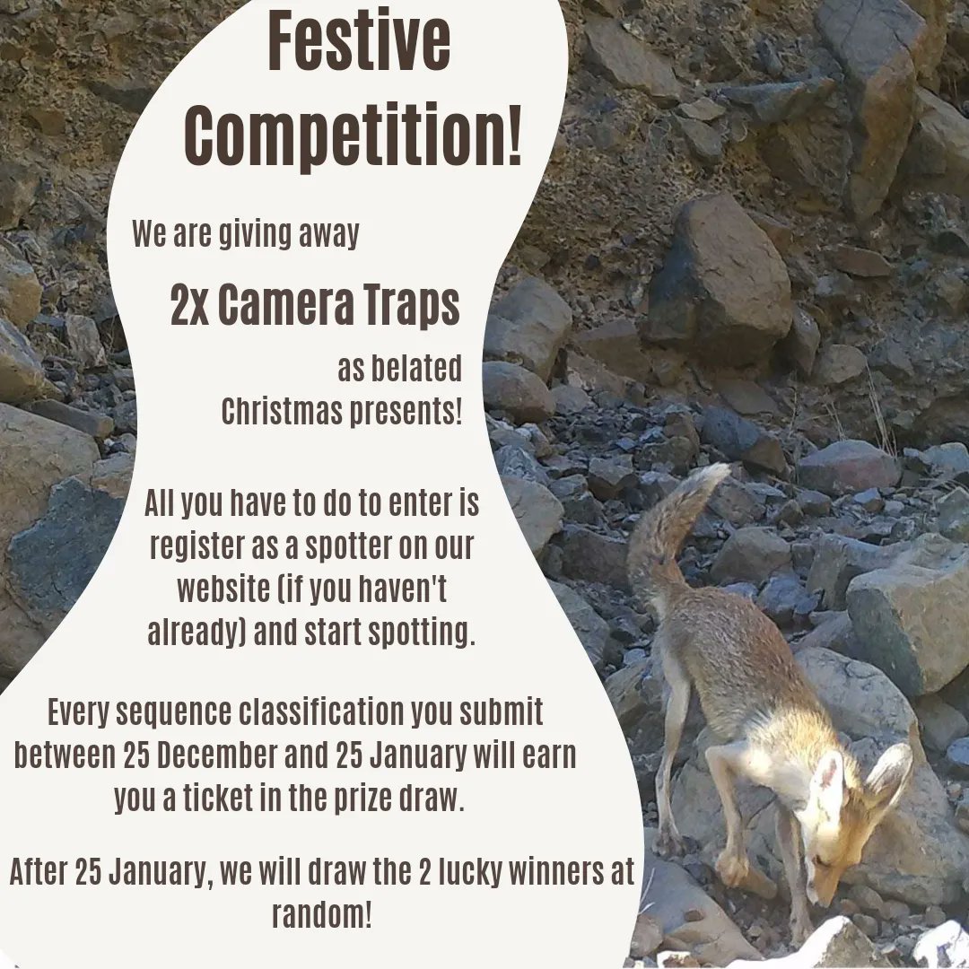 MammalWeb's tweet photo. #Festive Competition Time! In recognition that this is a time of year for giving, we are #givingaway 2 #cameratraps as belated Christmas presents!! Every classification you submit between 25 Dec and 25 Jan will count as one entry. Good luck everyone! #Competition #Giveaway https://t.co/lndd1AsLdd