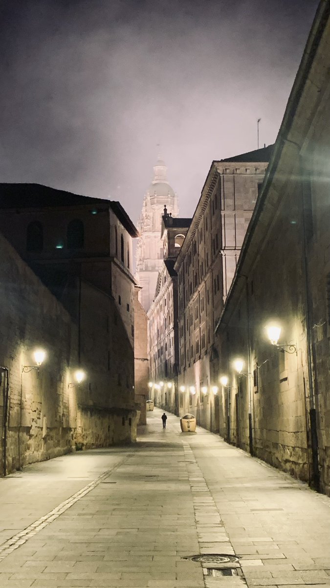 Roberisamess's tweet photo. Anoche hice esta foto y desde el fondo de mi corazón le pido al @aytoSalamanca que retire esos contenedores de basura de una de las calles históricas más bonitas de la ciudad porque me parece criminal https://t.co/Um5QqKfzY5