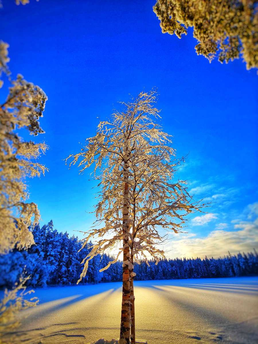 vesleh's tweet photo. Metsäretki.
Talvinen luonto on kyllä upea.
#metsäretki #rekitaipaleenjärvi #kullaa #ulvia #luonto #talvi #järvi #lumi #valokuvaus #marttiini #puukko #vaahtokarkit https://t.co/702PjRlZbV