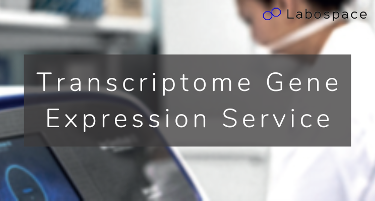 labospace's tweet photo. Our transcriptome gene expression service uses automatic data analysis with the Torrent Suite™ plug-in.

📨 Contact us to find out more about or transcriptome gene expression service: https://t.co/auiAVMR0wp

#laboratoryservices #transcriptome #torrentsuite https://t.co/y2vEq14GW0