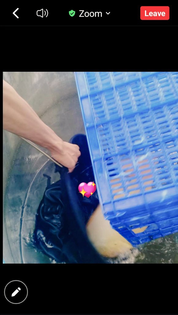 MarineCulture's tweet image. 05 JAN 2023
#ICSGRTC

Rapat Perencanaan Produksi dan Pemasaran serta Evaluasi, Tahun 2023

Species;
1.Epinephelus spp,
2.Chanos-Chanos,
3.Lates calcarifer (Australian),
4.Lutjanus malabaricus.

Market;
1. Globe.

Standardized;
1. Good Hatchery Practice
2. Good Quarantine Practice