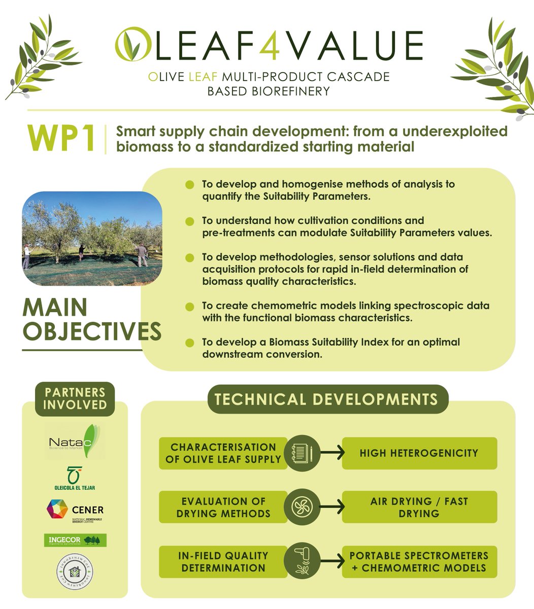 OLEAF4VALUE's tweet photo. 🌿The stage during #OLEAF4VALUE's WP1 has served as scrutiny of an overview of the state-of-the-art #olivetree farms and the identification of the most suitable biomass providers. 🚜

👉Read more https://t.co/qXBBBh4iOG https://t.co/knPghvc1Yg