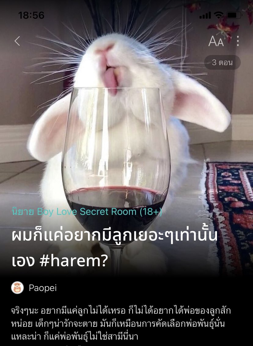 เซฟแนะนำนิยายวาย 📚 ✿ 𓂂 יִ (ตอบช้า) tweet media