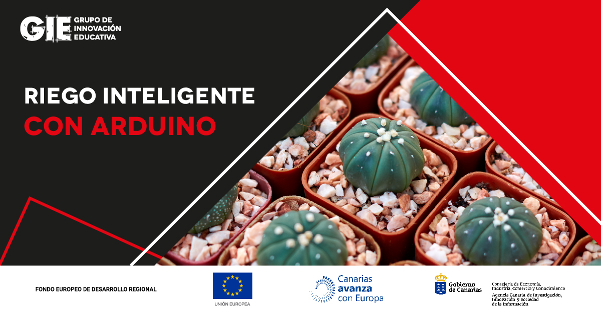 GIE CANARIAS tweet media