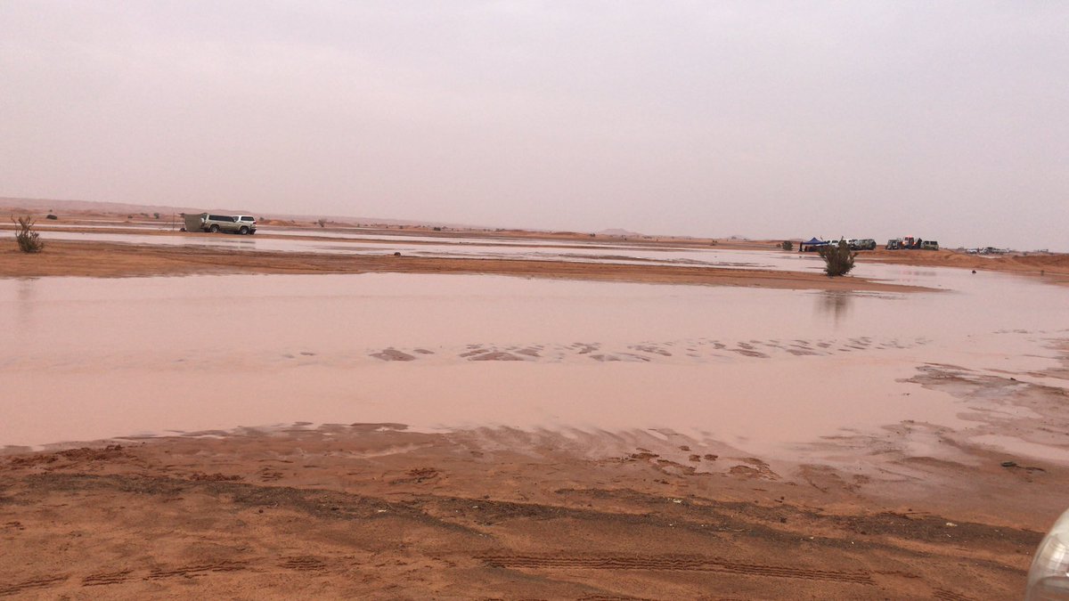 aaloyaidi's tweet image. #أمطار_القصيم #المستوى
