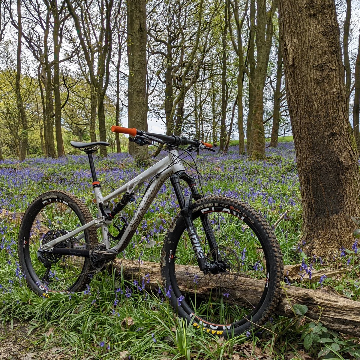 Rich Baker tweet media