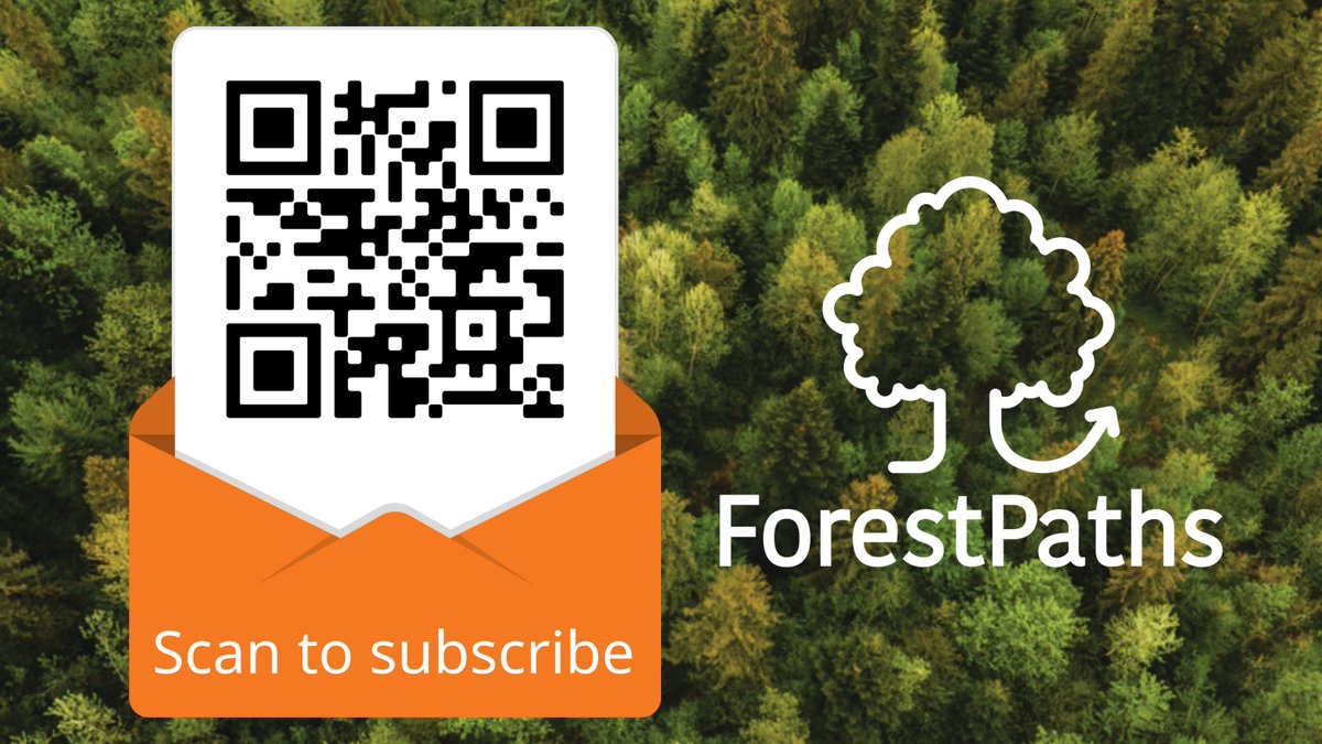 forestpaths_eu's tweet photo. 📧First #ForestPaths #newsletter coming up soon with the latest project results and updates in brief
Subscribe here🖱️https://t.co/HKJ55apgcS or
scan the QR code🤳 https://t.co/i9tdJvSu3X