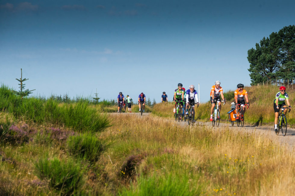 Kayleighs Wee Stars tweet media