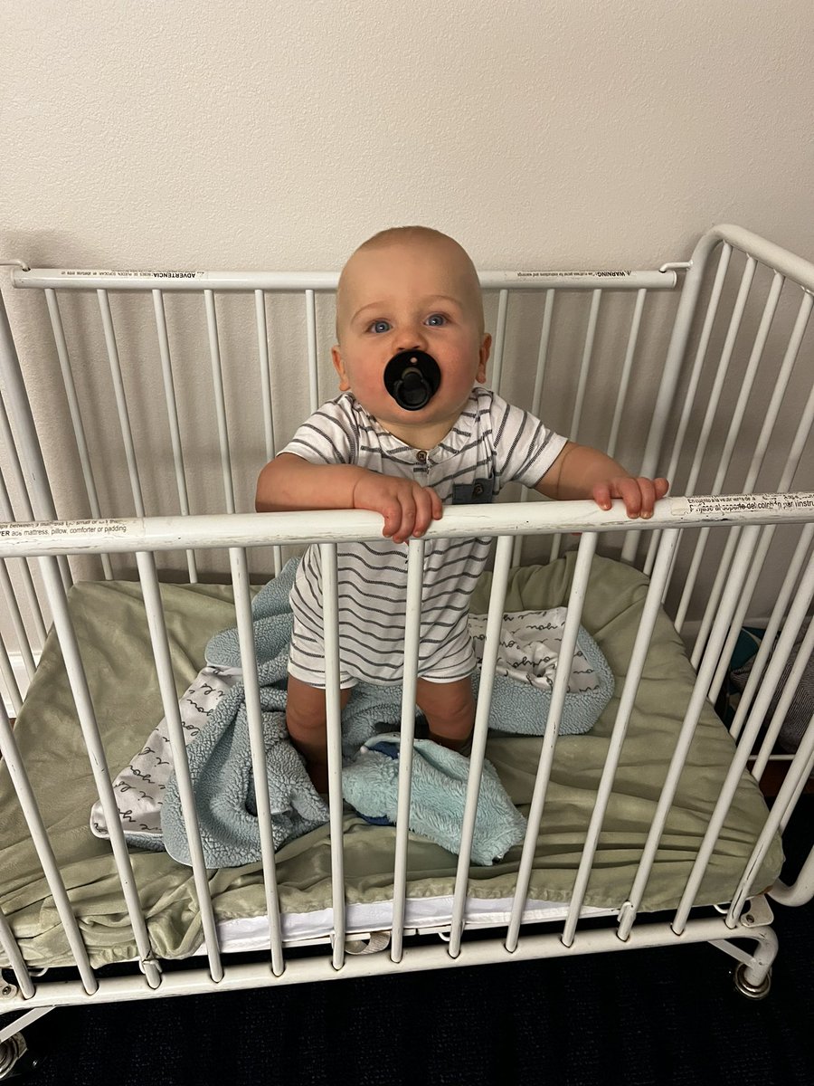 jefflytle_37's tweet photo. Hudson living the good life! https://t.co/iKKoEVCkBe
