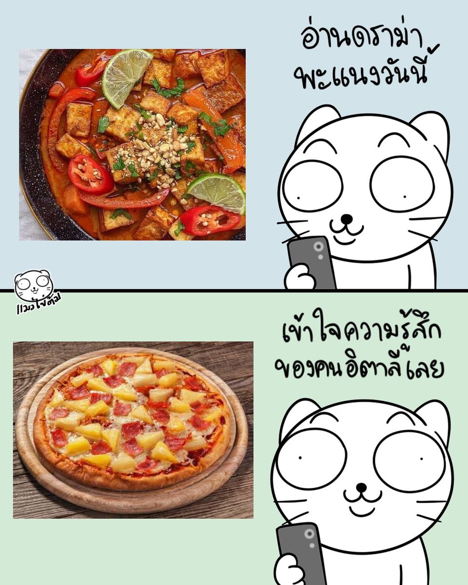 แมวไข่ต้ม tweet media