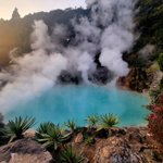 ツイートに含まれる画像