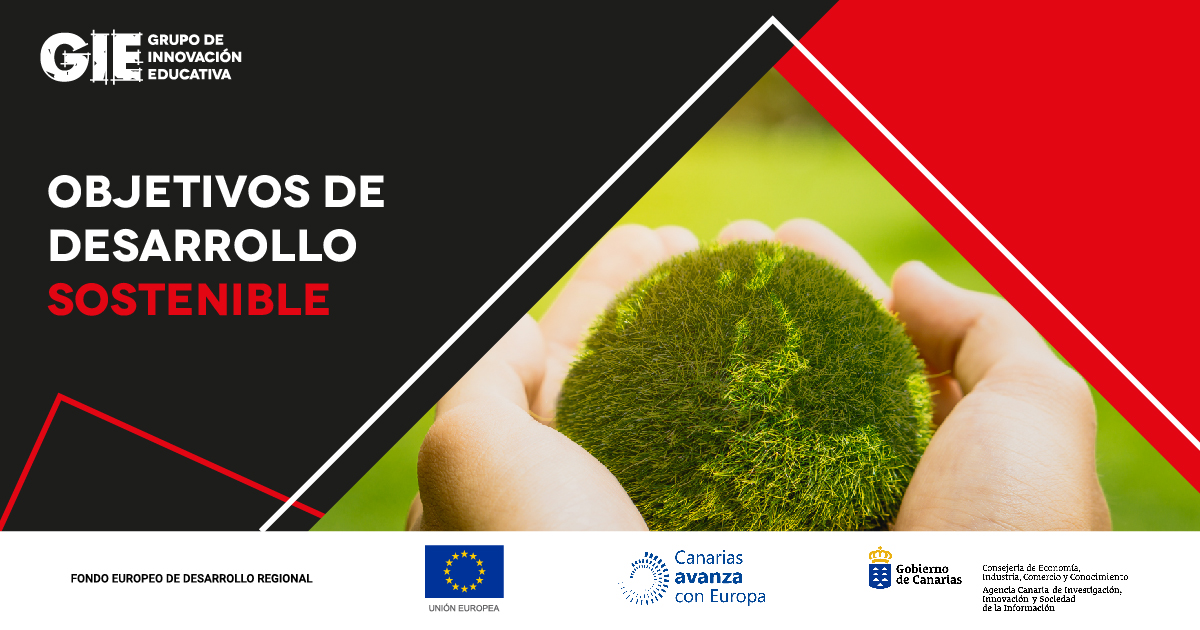 GIE CANARIAS tweet media