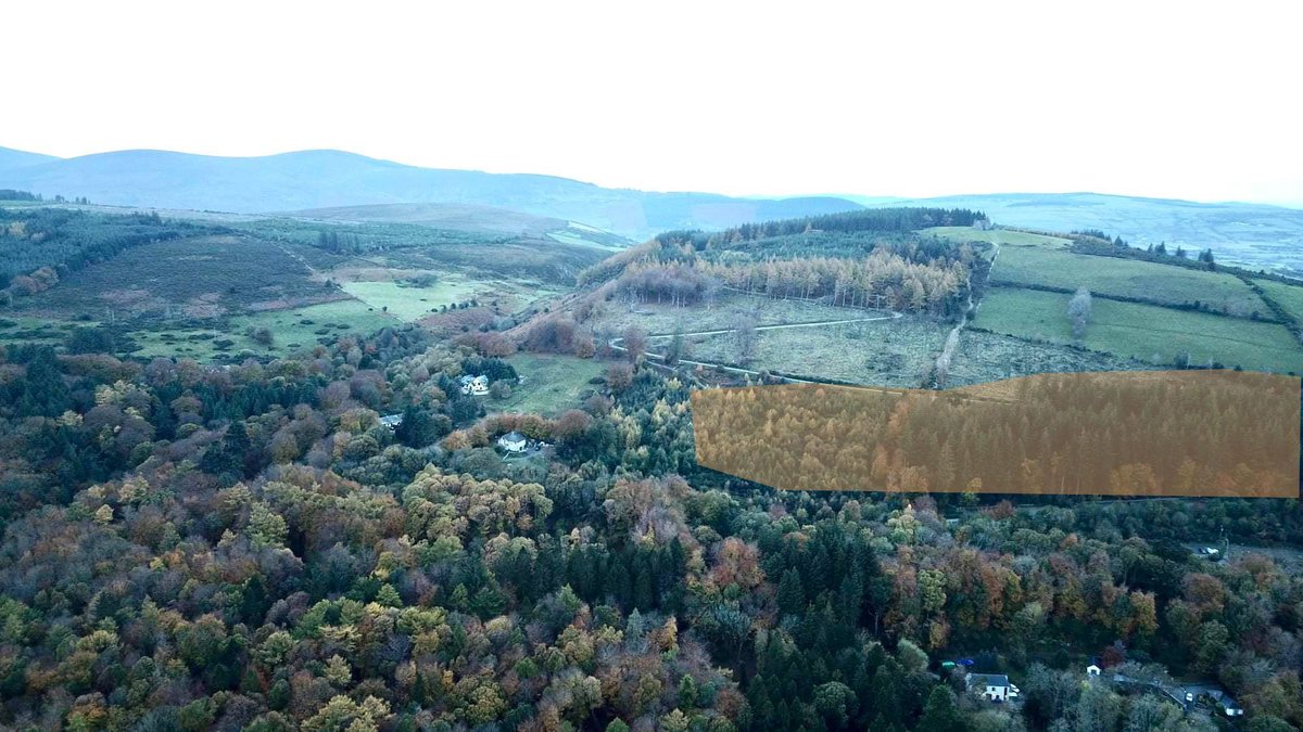 SavetheHellfire's tweet photo. Trees highlighted will be destroyed by @sdublincoco to make way for 300 CARS & BUSES for a €22m+ overscaled #Vanityproject over 27K have said no to! Still waiting on @coilltenews to replant the area cleared in early 2016! #capactiy #greenwashing #traffic
https://t.co/wmuU51Oo57 https://t.co/w7GuYJHtuI