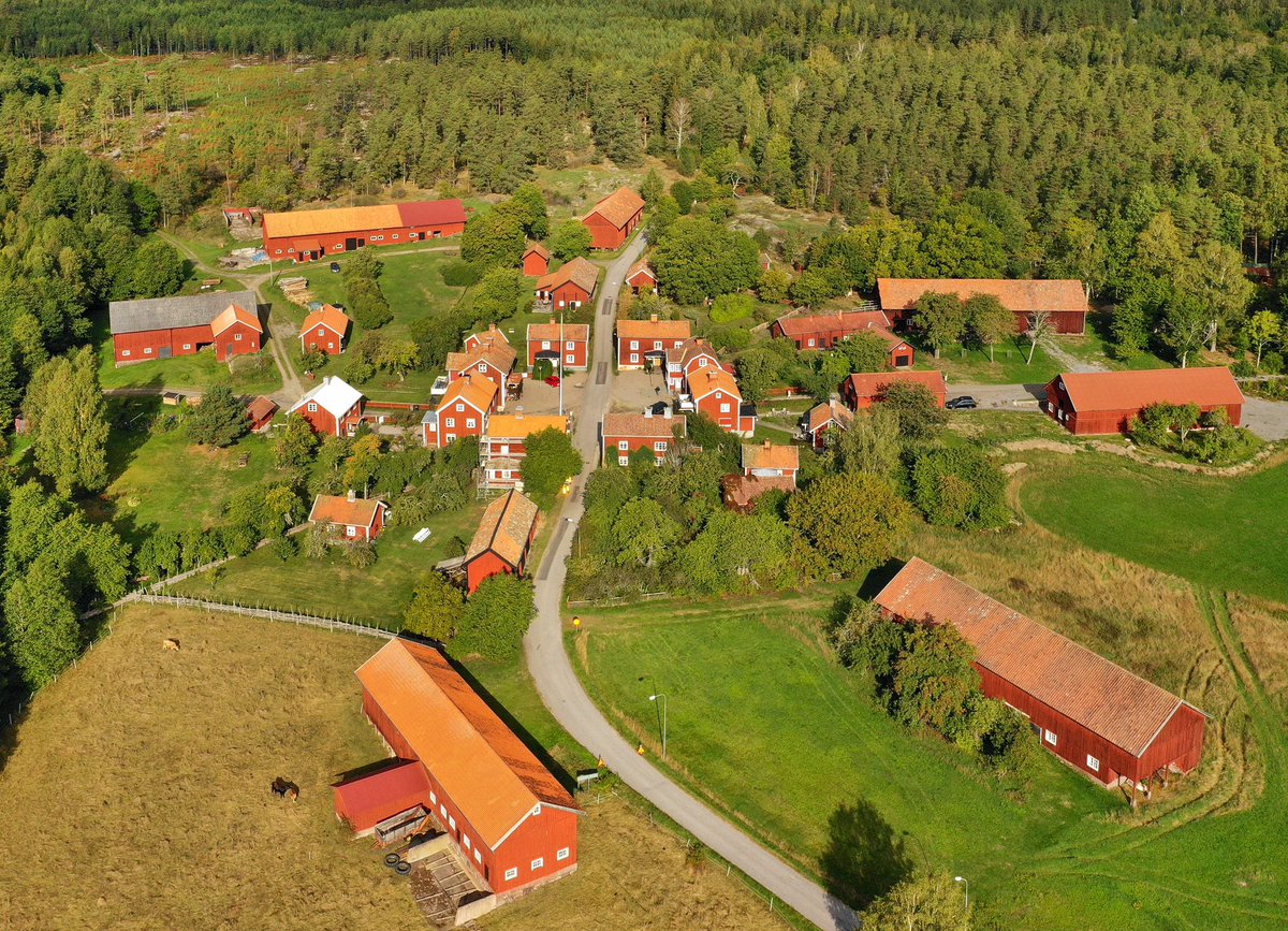 Pär Connelid tweet media