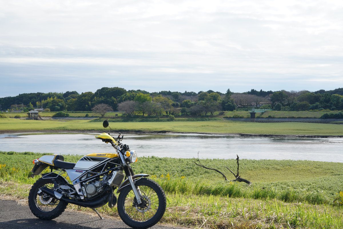 #元オーナーに届け 
確か伊豆の人?
カバー毎放火されてとろけたSDRでした。w
ン十年の眠りから覚めて元気に走ってます。 