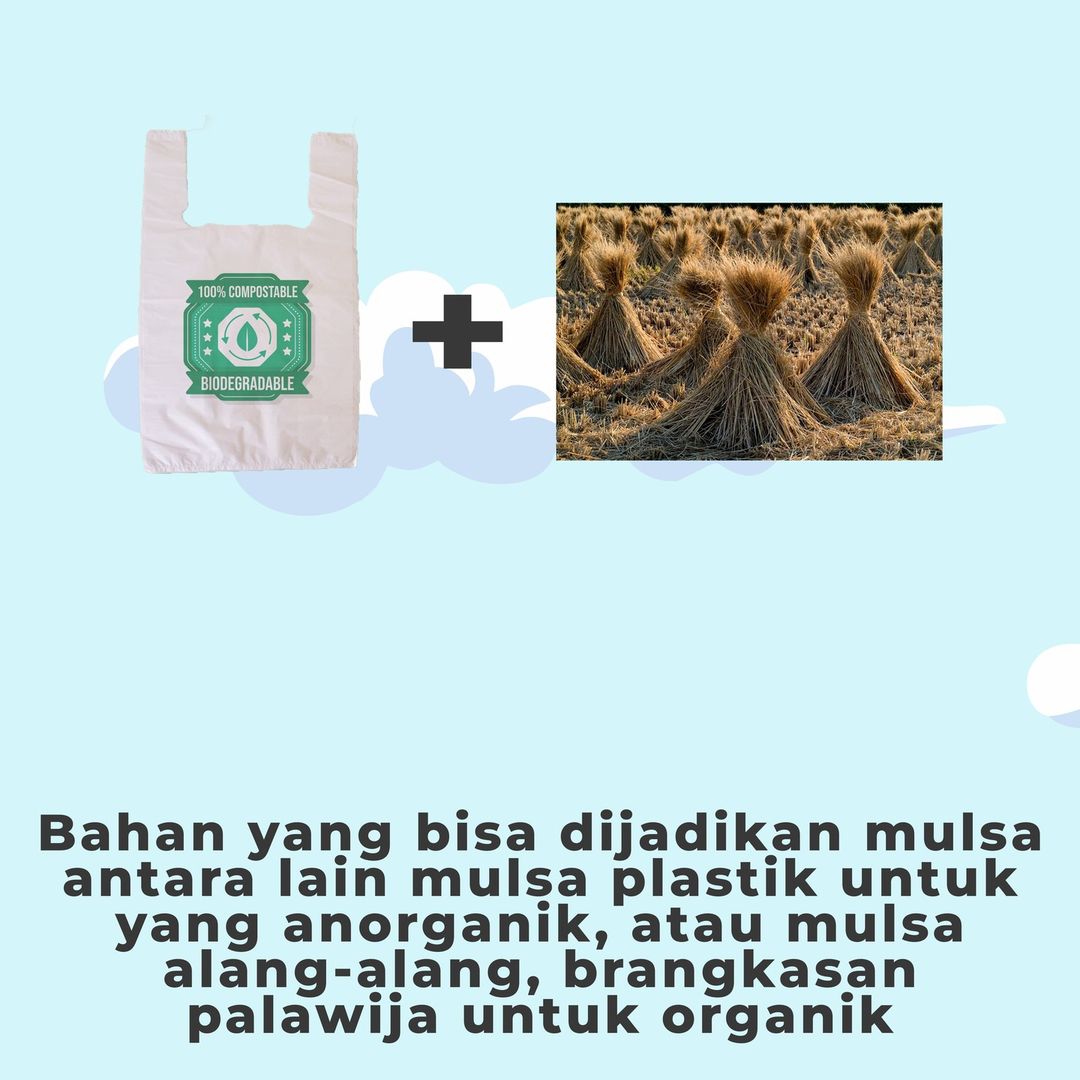 ummhimagro's tweet photo. KABAR AGRO! https://t.co/c1VY7ifI94