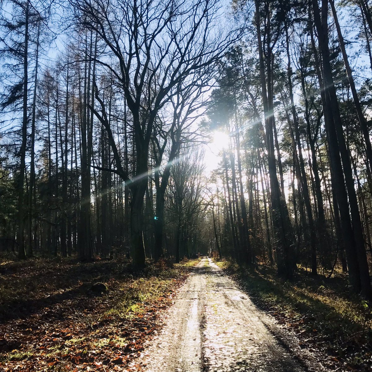 underagreysky's tweet photo. A grey morning gave way to a glorious lunchtime for the walk out to the Weltentür that leads to the ghostly memories of the long disappeared village of Groß Glien… #derflaeming #adventuresbeyondthefrontdoor https://t.co/93t0xr9FUe