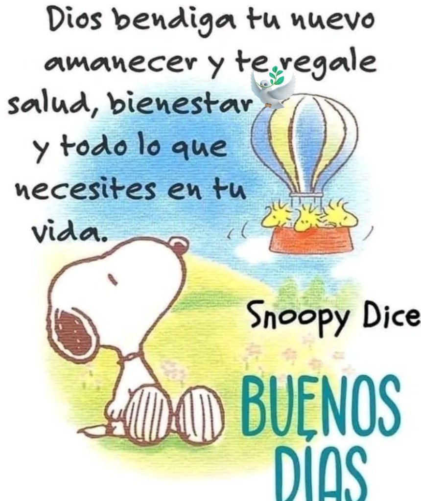 lorena_gangas's tweet photo. 🌹Muy buenos días... hermoso y bendecido día Jueves para todos 🙏🌷🌞⚘ https://t.co/4Gj6rNuG5v