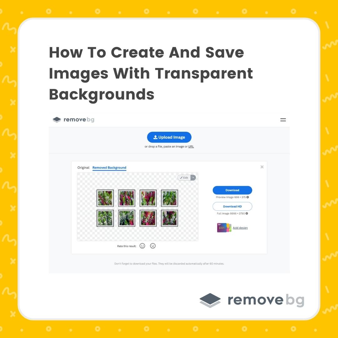 remove_bg's tweet photo. We’ve all been in the situation where we’d like to save a photo without a background -  here’s how 👉 https://t.co/yyc8erNsqu 🎯

#pngimages #transparentimages #removebg #removeimagebackground https://t.co/Y7NuwkLJcc