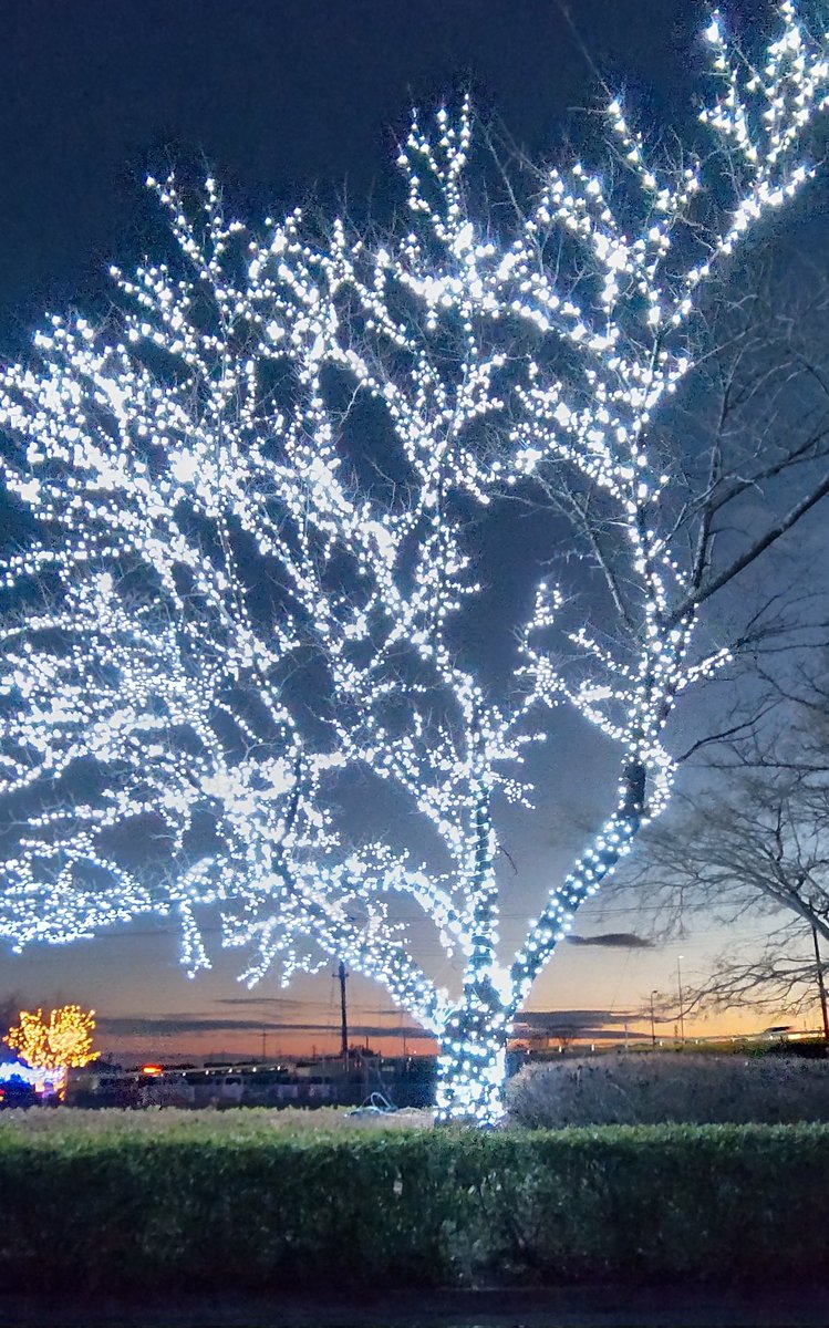 たいせ on Twitter 